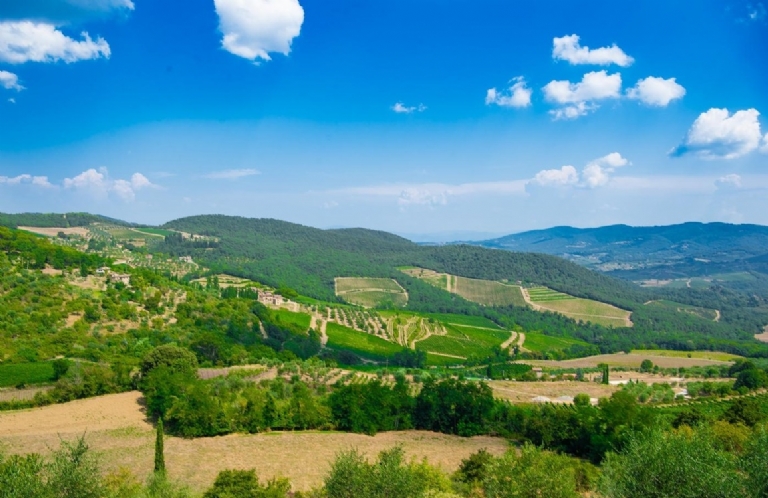 THE VILLA PANZANO 